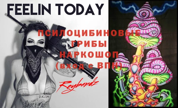 винт Армянск